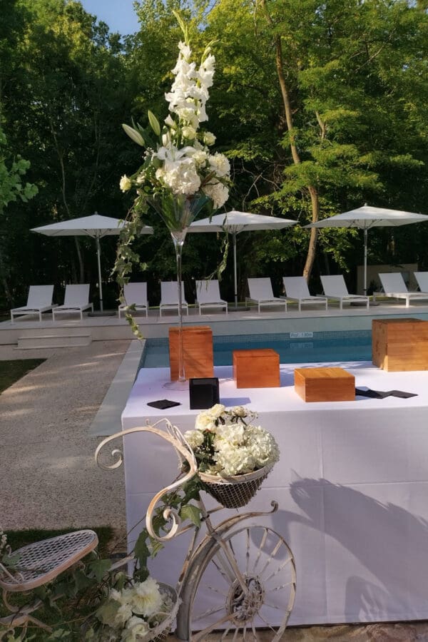 Vase Martini pour cocktail – Image 3
