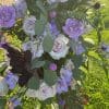 Arche ronde en fleur – Image 11