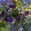 Arche ronde en fleur – Image 12