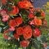 Arche ronde en fleur – Image 10