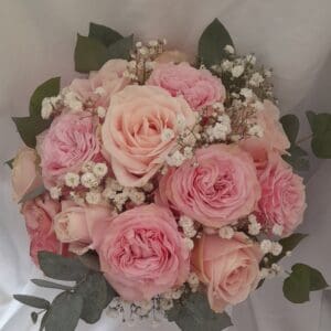 Rosaline rose poudré