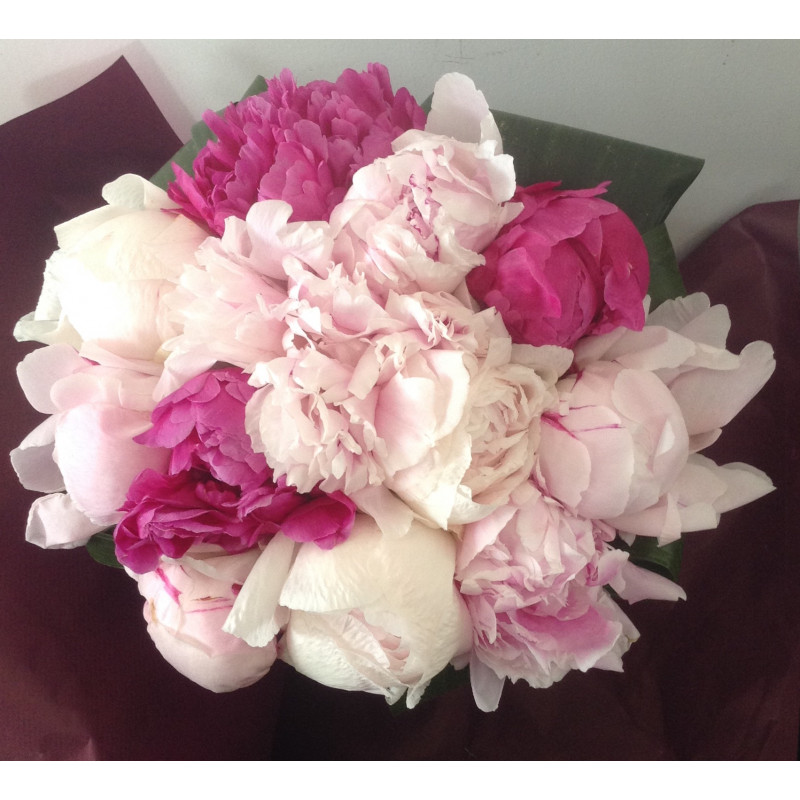 Bouquet de pivoines roses - Rose de Vigne