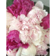 Bouquet de pivoines roses