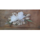 Peigne fleuri blanc