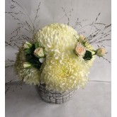 Composition fleurs de chrysanthème 
