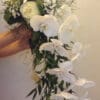 Cascade blanche – Image 4