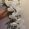 Cascade blanche – Image 2