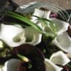 Chocolat blanc – Image 2