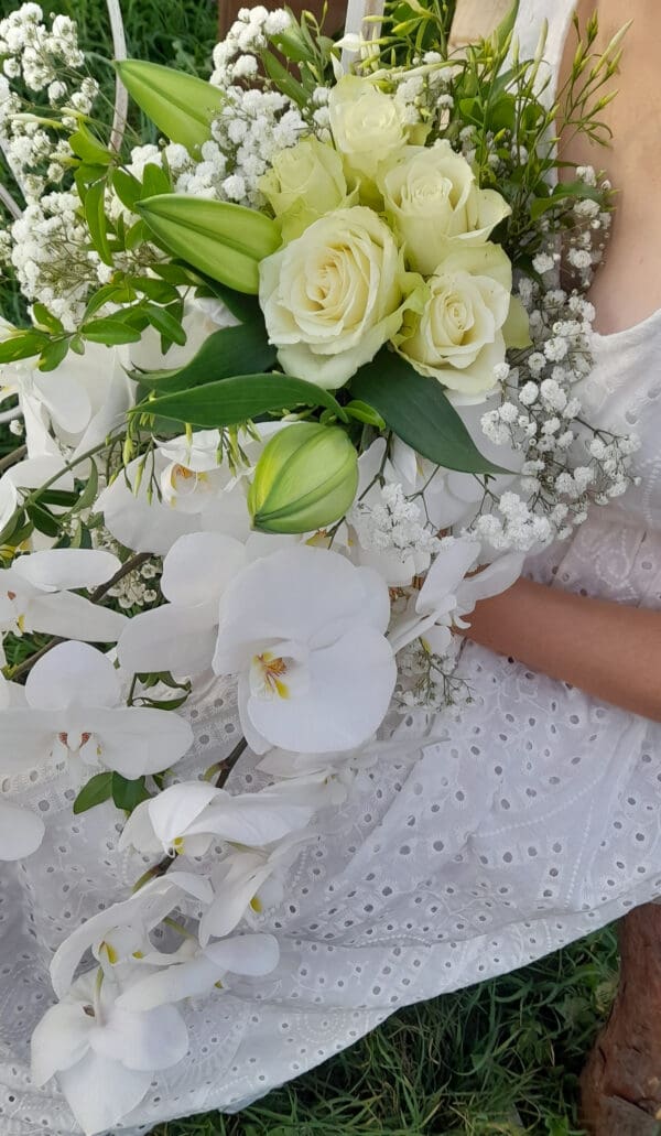 Orchidée en nuage – Image 3