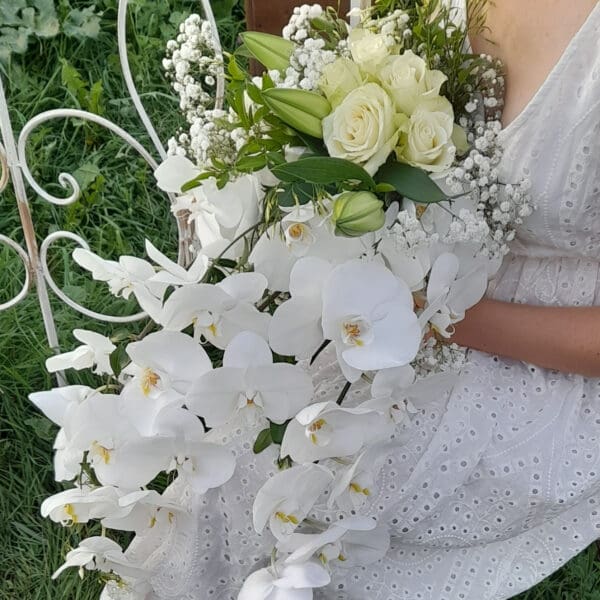 Orchidée en nuage – Image 4