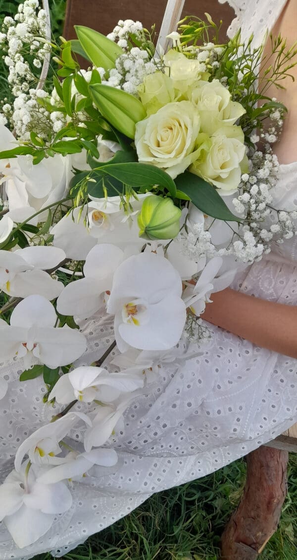 Orchidée en nuage – Image 5