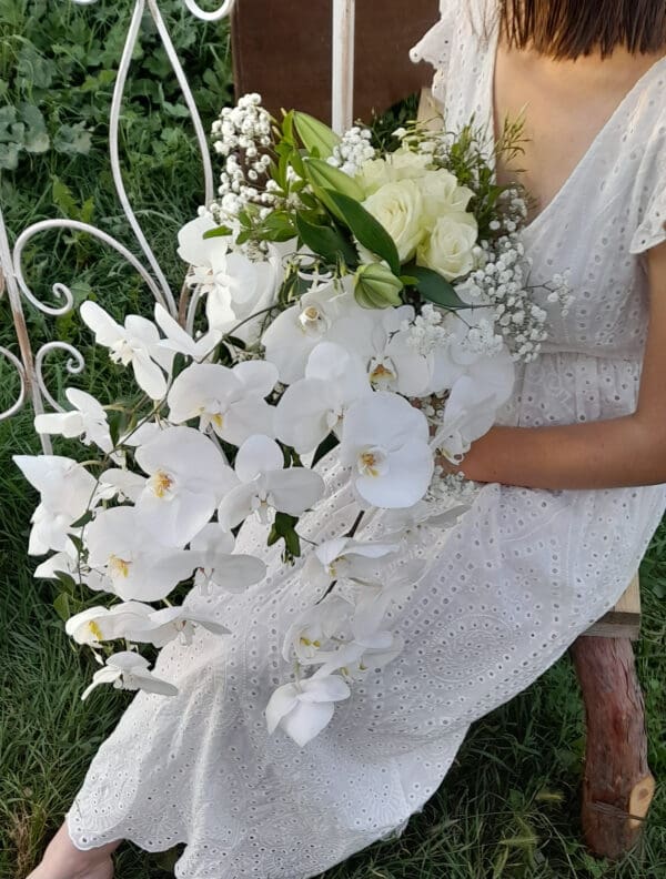 Orchidée en nuage – Image 6