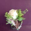 Boutonnière – Image 6