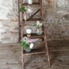 Vase mange debout, accueil ... – Image 4