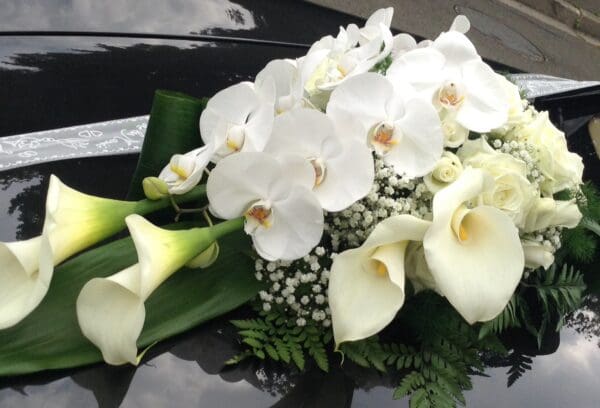 Satin blanc – Image 2