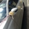 Tulle voiture – Image 2