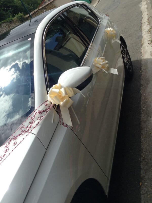 Tulle voiture – Image 2