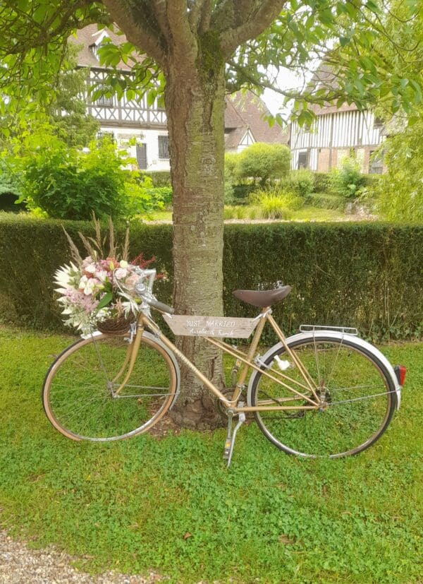 Velo vintage