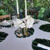Sous assiette monstera – Image 2