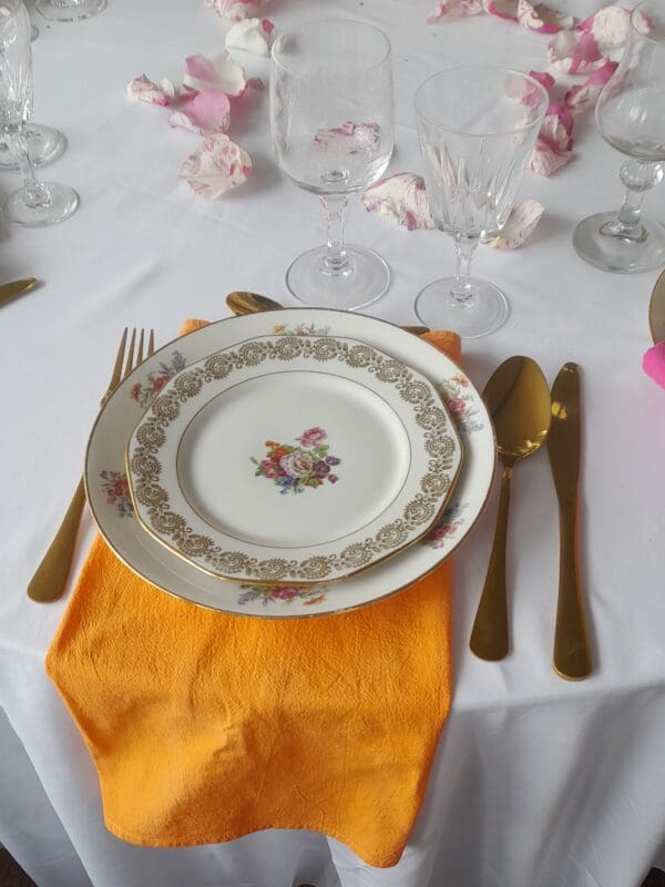 Serviette de table colorées
