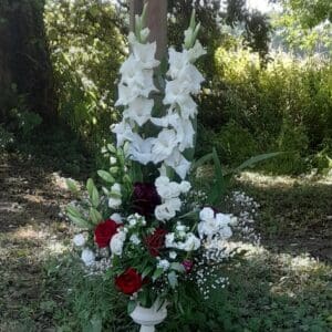 Medicis en rouge et blanc