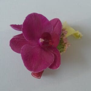 Boutonnière exotique orchidée