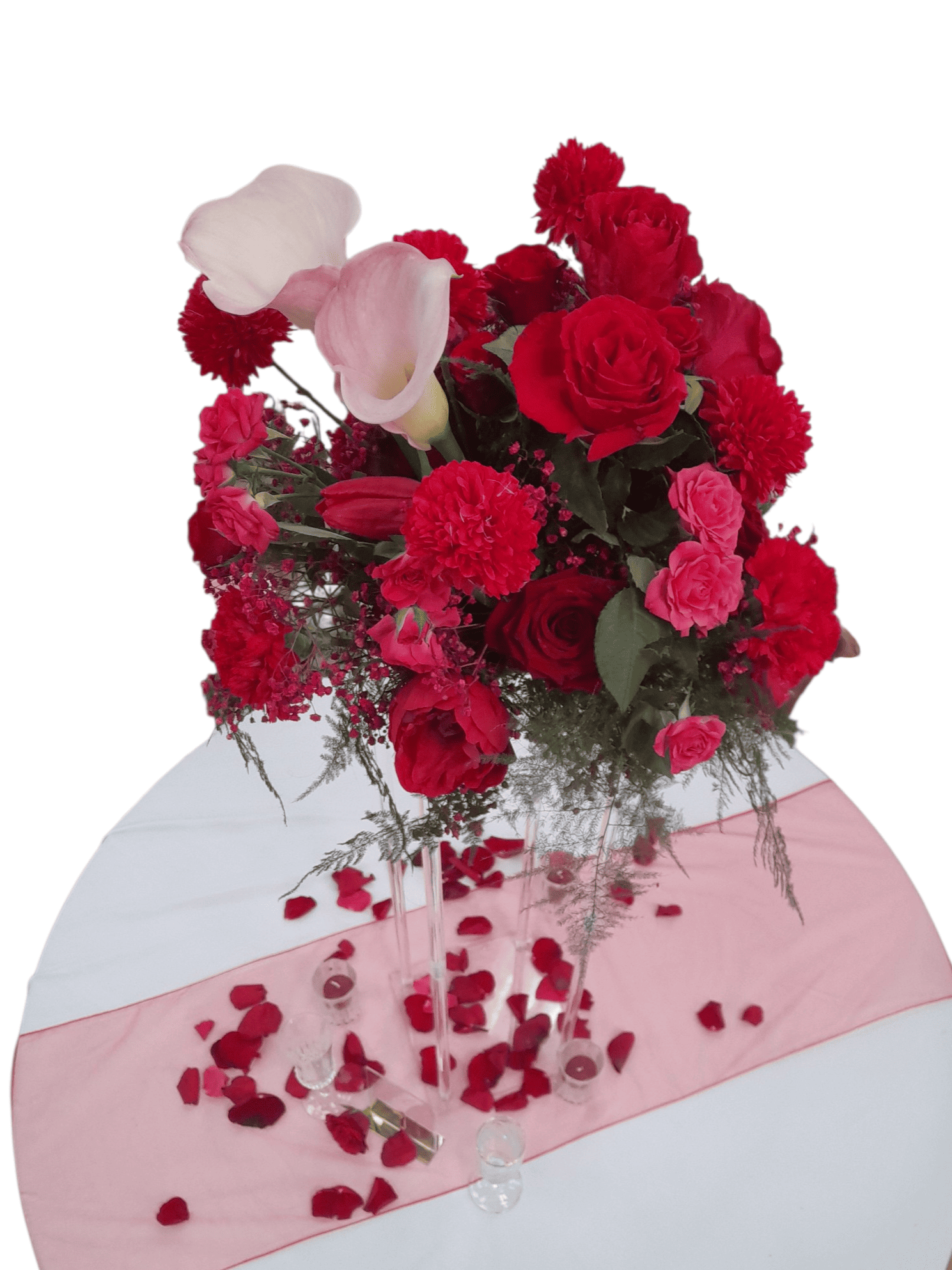 Structure haute en plexiglass – Image 4