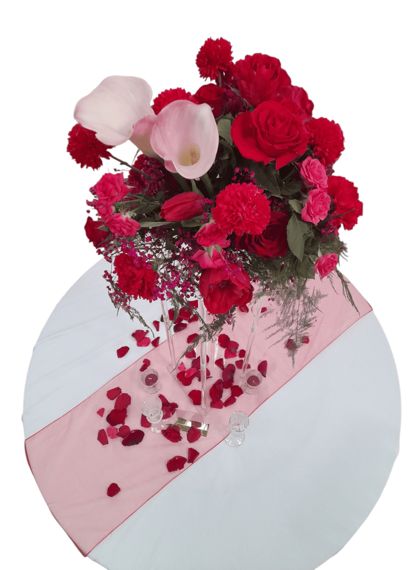 Structure haute en plexiglass – Image 3