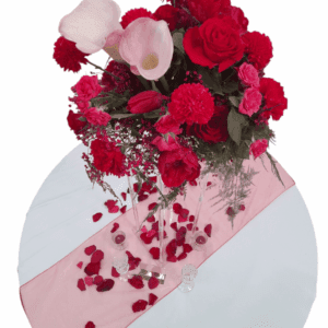 Structure haute en plexiglass