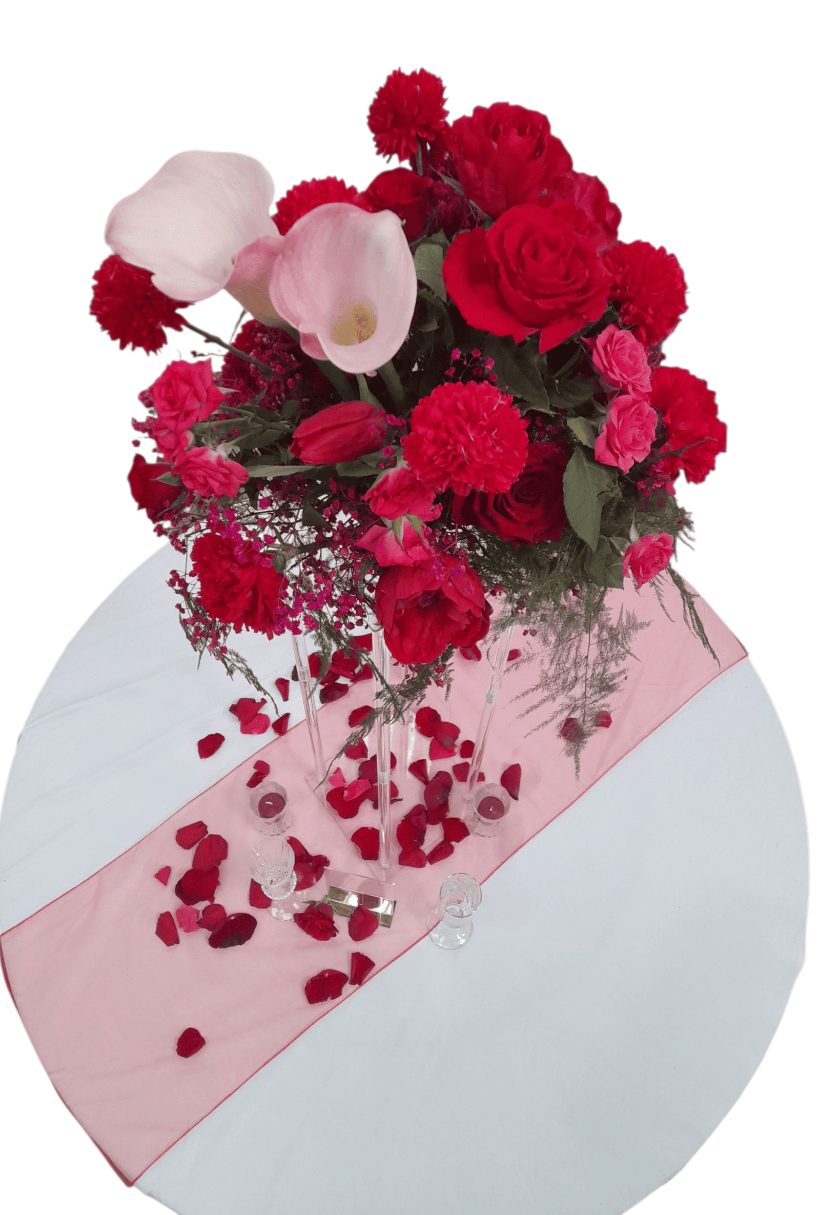 Structure haute en plexiglass – Image 2